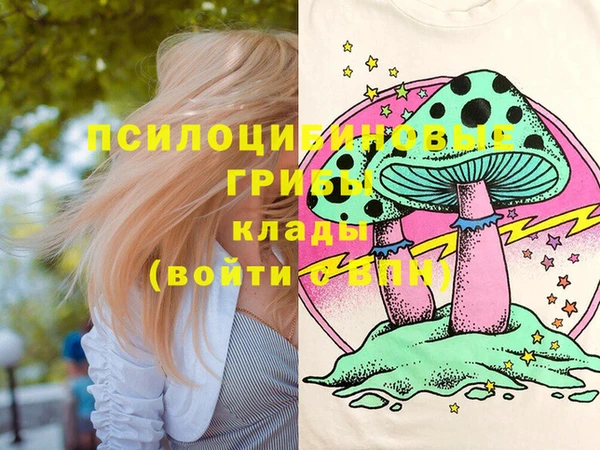 дурь Кулебаки