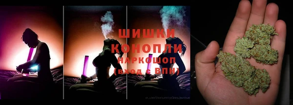 прущие грибы Лагань
