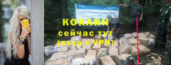 прущие грибы Лагань