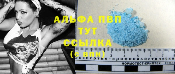 прущие грибы Лагань