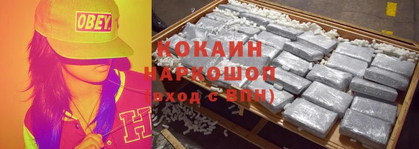 прущие грибы Лагань