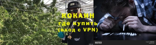 прущие грибы Лагань