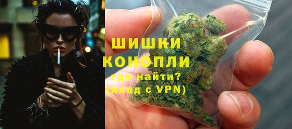 прущие грибы Лагань