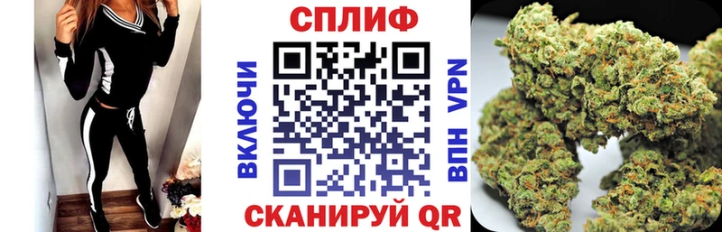 blacksprut   Лахденпохья  Каннабис сатива 